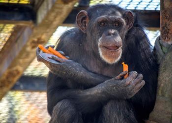 Lulú durante su etapa jerezana / FOTO: Ayto.