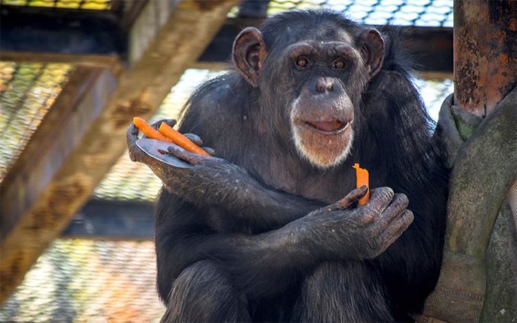 Lulú durante su etapa jerezana / FOTO: Ayto.