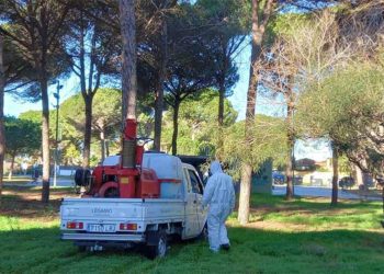 Fumigando en uno de los parques públicos / FOTO: Ayto.