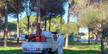 Fumigando en uno de los parques públicos / FOTO: Ayto.