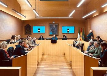 Un momento del pleno extraordinario / FOTO: Ayto.