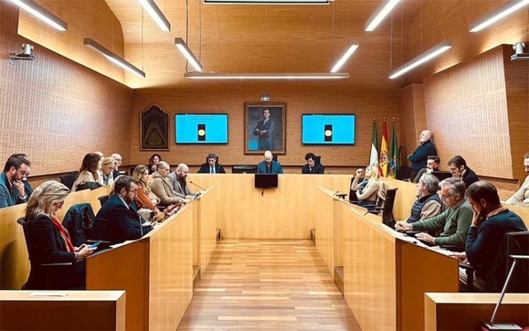 Un momento del pleno extraordinario / FOTO: Ayto.