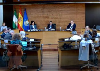 Un momento de la retransmisión del pleno