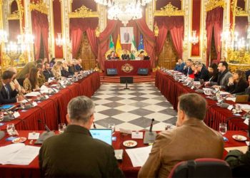 Un momento del pleno pre-navideño / FOTO: Diputación