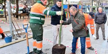 El alcalde colaborando con la plantación en La Laguna / FOTO: Ayto.