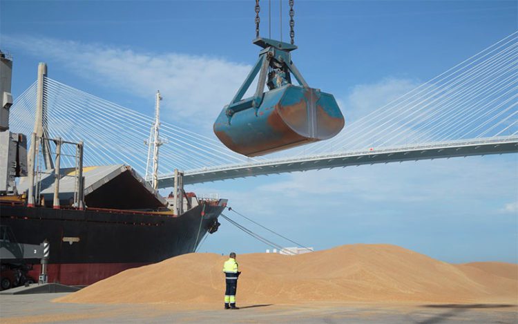 Trasiego de graneles en La Cabezuela / FOTO: APBC