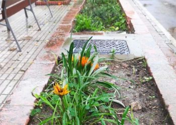 Uno de los rincones ya replantados / FOTO: Ayto.