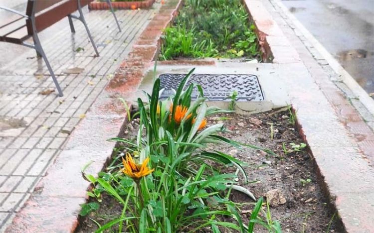 Uno de los rincones ya replantados / FOTO: Ayto.