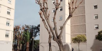 Uno de los ejemplos claros con los que se acompaña la denuncia / FOTO: Agaden