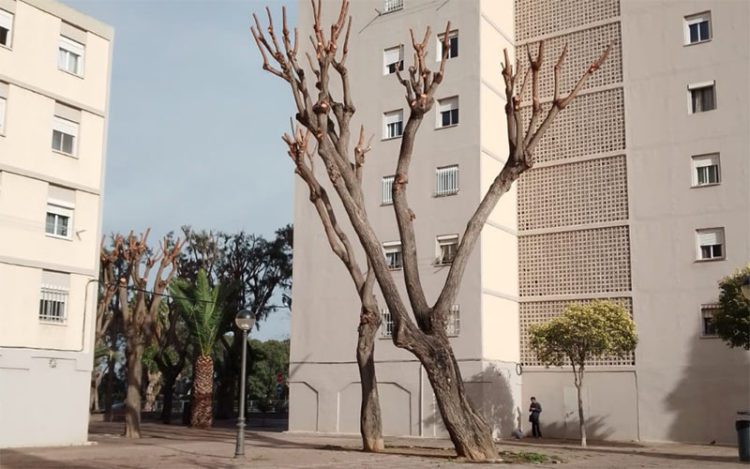 Uno de los ejemplos claros con los que se acompaña la denuncia / FOTO: Agaden