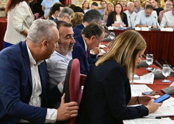 Ruiz Boix charla con su bancada en un pasado pleno provincial / FOTO: Eulogio García