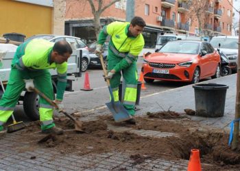 Operarios de zonas verdes en plena faena / FOTO: Ayto.