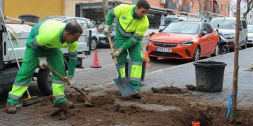 Operarios de zonas verdes en plena faena / FOTO: Ayto.