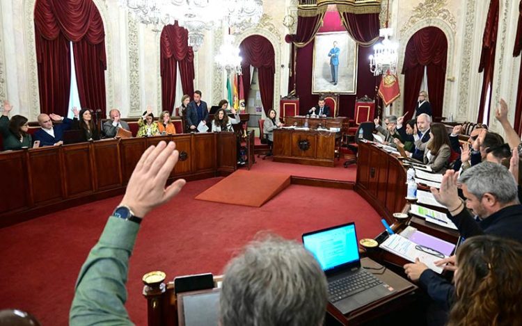 A votación uno de los puntos del pleno / FOTO: Eulogio García