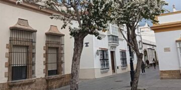 Varios árboles en el centro de la Villa / FOTO: Ayto.