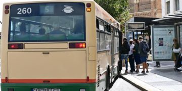 Parada de bus en la avenida del Puerto / FOTO: Eulogio García