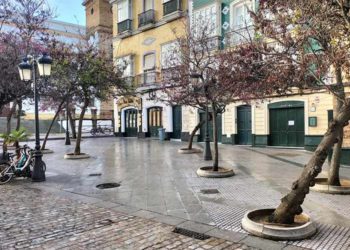 Tramo de la calle Plocia en la que coinciden sus restaurantes / FOTO: cedida