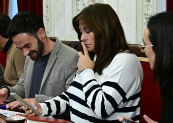 Fernández en un pasado pleno / FOTO: Eulogio García