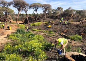Participando en una jornada de limpieza en marzo / FOTO: Ayto.