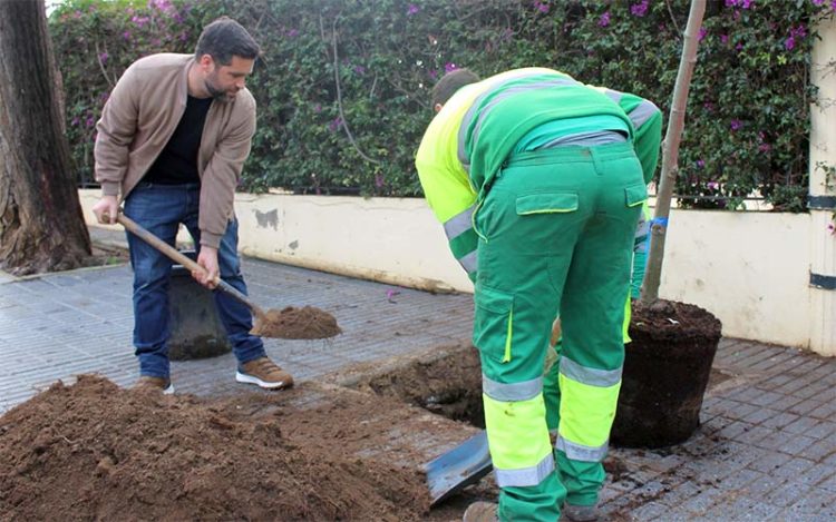 Palmero colaborando con una de las plantaciones / FOTO: Ayto.