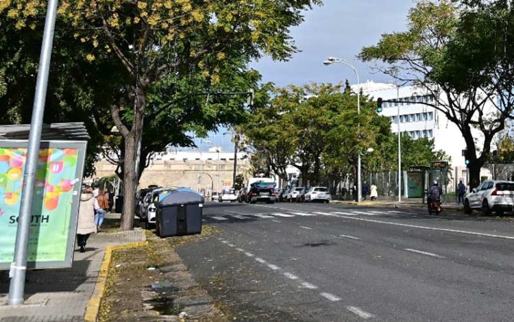 Dos de las paradas de la avenida / FOTO: Eulogio García