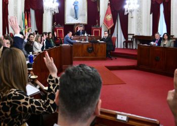 Los concejales del PP votando diferente a la oposición en el pleno / FOTO: Eulogio García