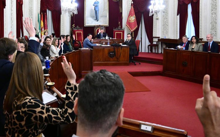 Los concejales del PP votando diferente a la oposición en el pleno / FOTO: Eulogio García