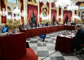 Un momento de la sesión plenaria / FOTO: Eulogio García