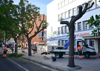 Pasados trabajos de poda en la avenida / FOTO: Eulogio García