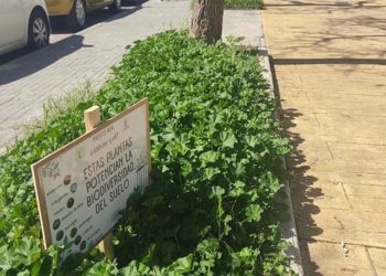 Las zonas verdes elegidas se están señalizando / FOTO: Ayto.