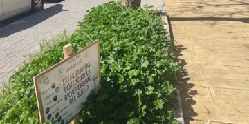 Las zonas verdes elegidas se están señalizando / FOTO: Ayto.