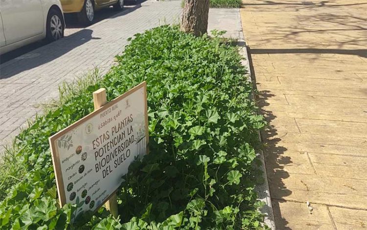 Las zonas verdes elegidas se están señalizando / FOTO: Ayto.