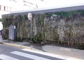 Estado indescriptible del "jardín" / FOTO: AxSí