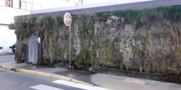 Estado indescriptible del "jardín" / FOTO: AxSí