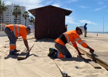 Recolocando pasarelas de madera en Valdelagrana / FOTO: Ayto.