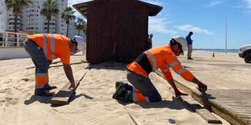 Recolocando pasarelas de madera en Valdelagrana / FOTO: Ayto.