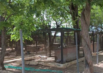 Uno de los rincones del centro que se exponen en la web de la perrera