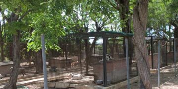 Uno de los rincones del centro que se exponen en la web de la perrera