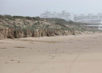 Significativa pérdida de arena tras la borrasca de febrero / FOTO: Ayto.