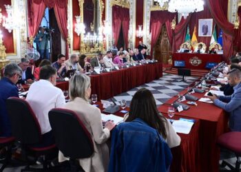 Un momento de la sesión plenaria / FOTO: Eulogio García