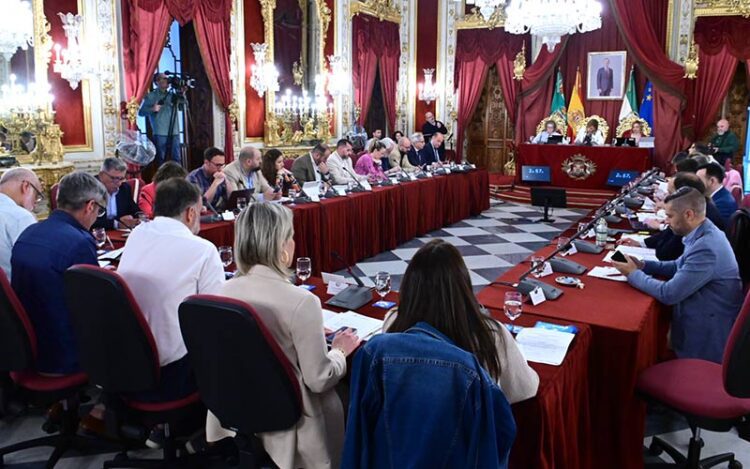Un momento de la sesión plenaria / FOTO: Eulogio García