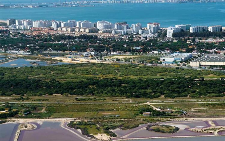 Vista aérea de Valdelagrana y entorno / FOTO: Ayto.
