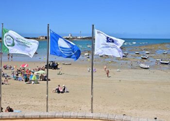 Enseñas de calidad ondeando en 2023 en La Caleta / FOTO: Eulogio García