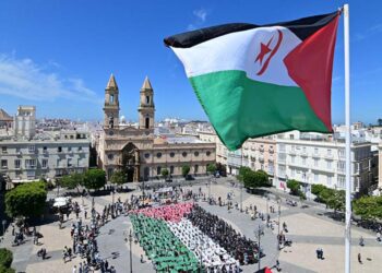 Una pasada acción pro-Palestina en la capital gaditana  / FOTO: Eulogio García
