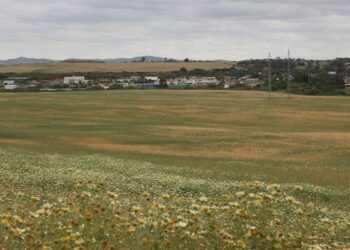 Los terrenos dedicados hasta ahora a la agricultura / FOTO: Ayto.