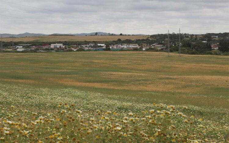 Los terrenos dedicados hasta ahora a la agricultura / FOTO: Ayto.