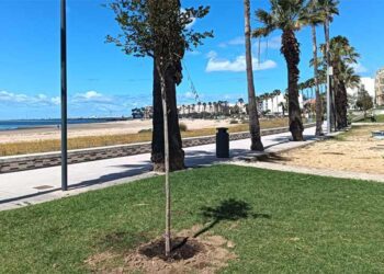 Un vistazo al remozado paseo / FOTO: Ayto.