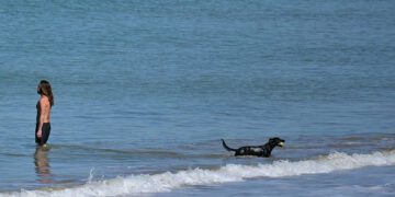 Baño en la Victoria con el perro en pleno invierno / FOTO: Eulogio García