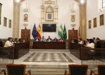 Un momento del pleno / FOTO: Ayto.