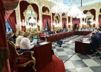 Un momento del pleno mensual / FOTO: Eulogio García